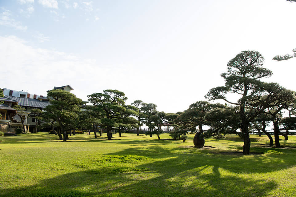 海辺に面する松林が目を見張る指宿白水館