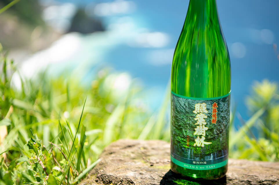 海辺での一杯にも「照葉樹林」