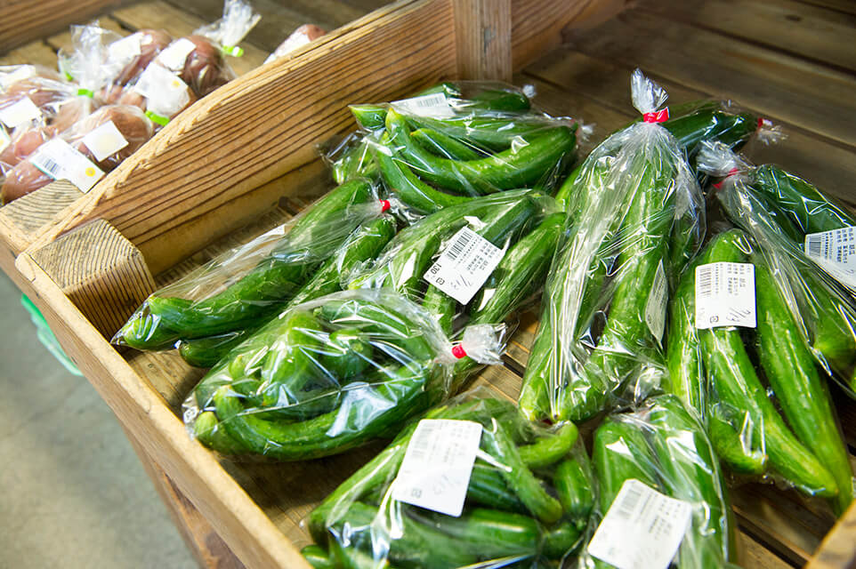 きゅうり生産量 [第1位] 64,000トン