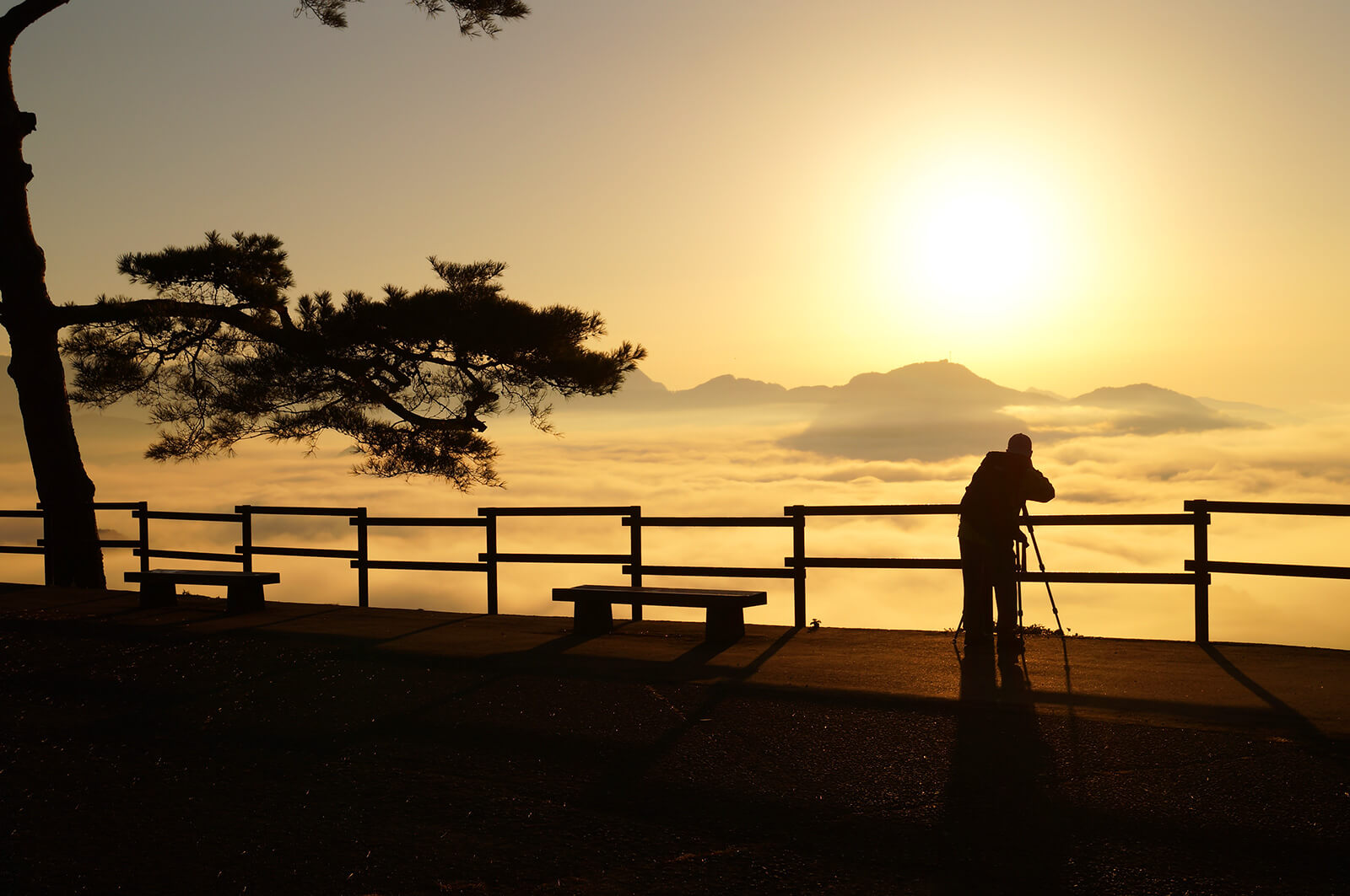 国見ヶ丘の雲海 9月~1月がベストシーズン